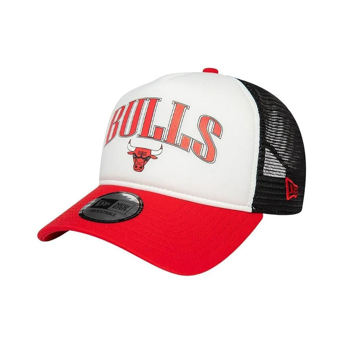 NBA RETRO TRUCKER CHIBUL