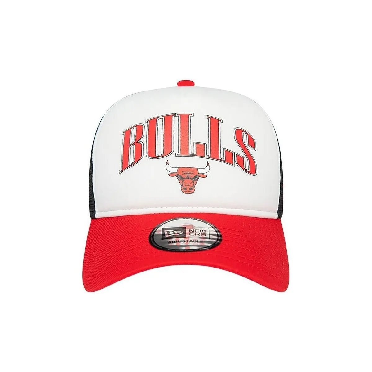 NBA RETRO TRUCKER CHIBUL