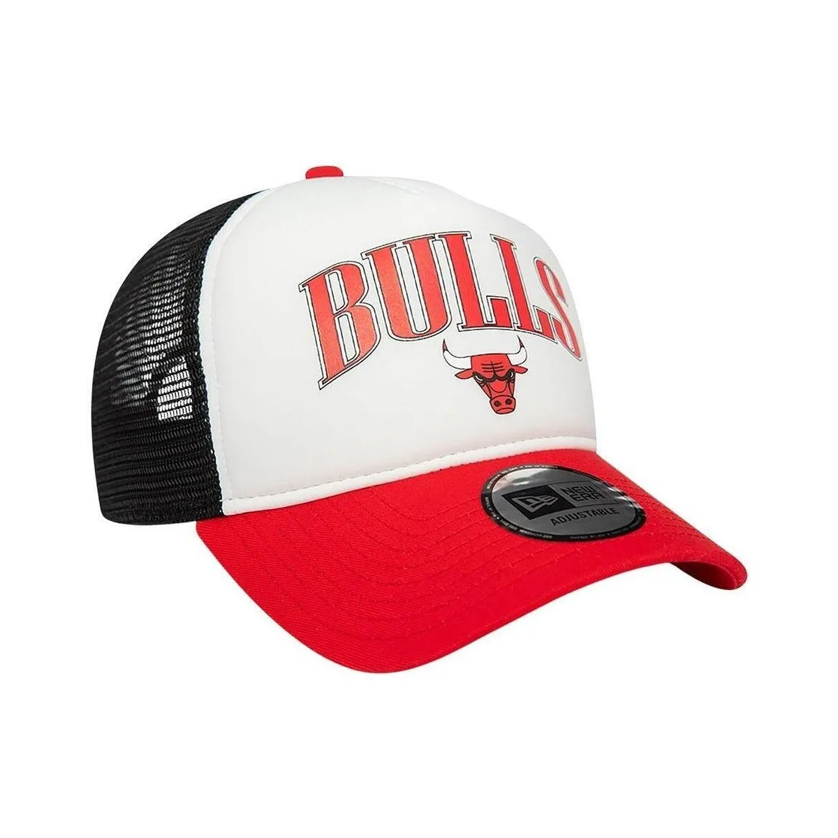 NBA RETRO TRUCKER CHIBUL