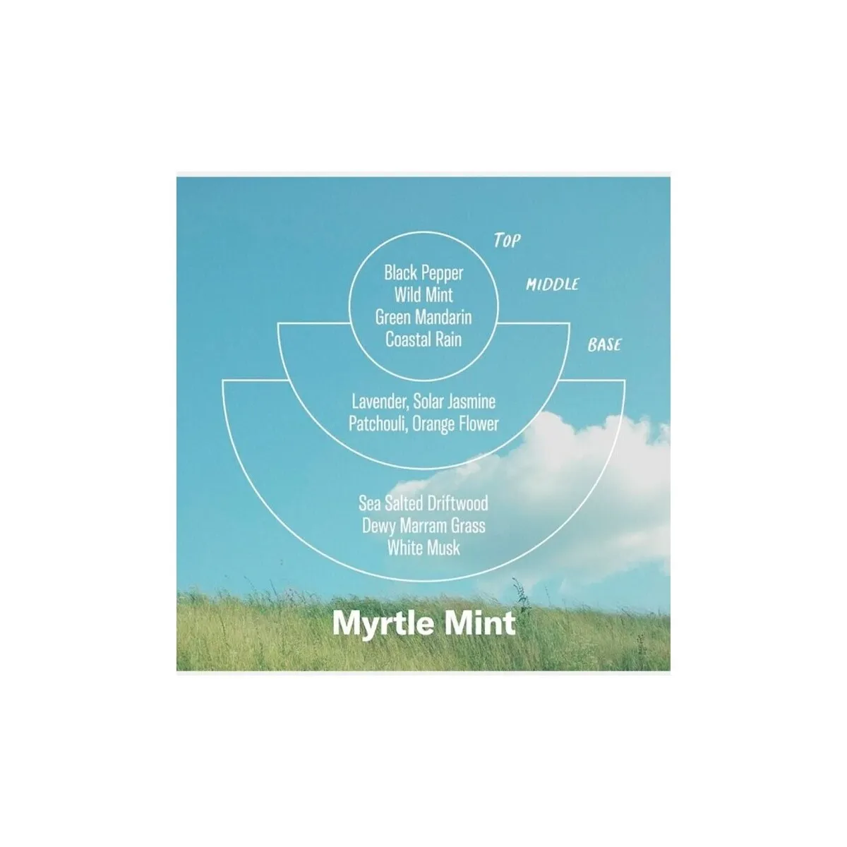 PF Candle NO. 4 Myrtle Mint Candle