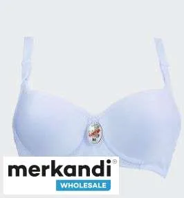 Venta al por mayor de sujetadores de mujer, calidad premium, variedad de colores.